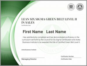 The Other Side Of Six Sigma Green Belt Certification