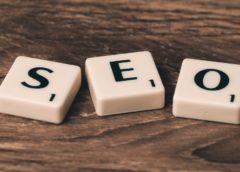 All the Information You Need About B2B SEO