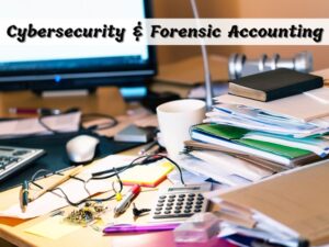 Cybersecurity & Forensic Accounting – Defence From Financially-Motivated Cyber Attacks